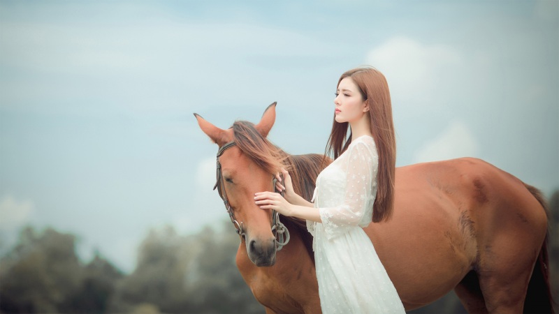 奇迹时代4配置要求高吗 最低推荐配置要求介绍